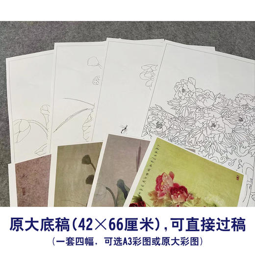 龚雪青工笔画白描底稿荷花花瓶一套四幅初学者尺寸42*66厘米TG05 商品图2