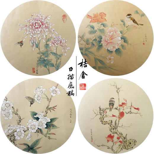 潘磊工笔画白描底稿蝴蝶雀鸟一套四幅初学者尺寸42*42厘米TL03 商品图0