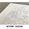 李晓明工笔画白描底稿梅兰竹菊一套四幅册页尺寸35×45厘米KF24 商品缩略图4