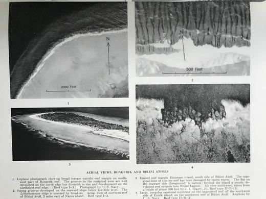 比基尼岛与附近环礁地质学 157幅插图（含多张展开图纸） 平装大16开带书匣 商品图9