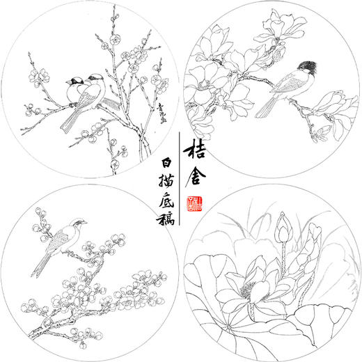 戴青池工笔画白描底稿荷花一套四幅初学者尺寸35*35厘米TD07 商品图1