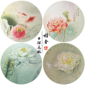 杨冬冬工笔画白描底稿荷花鲤鱼一套四幅初学者尺寸35*35厘米TY05
