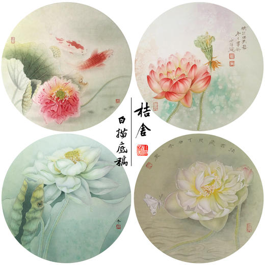杨冬冬工笔画白描底稿荷花鲤鱼一套四幅初学者尺寸35*35厘米TY05 商品图0