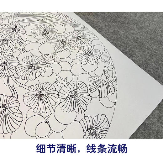 潘磊工笔画白描底稿菊花雀鸟一套四幅初学者尺寸42*42厘米TL05 商品图4