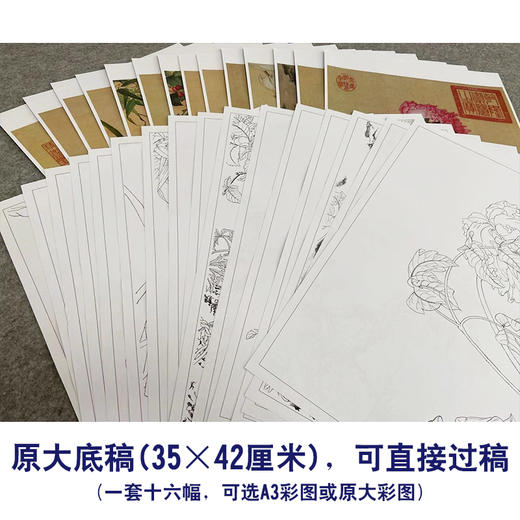 郎世宁工笔花鸟小品画白描底稿仙萼长春册一套十六幅册页尺寸35×42厘米LT00 商品图3