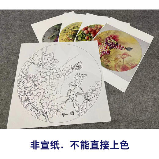 孙锡之工笔花鸟画白描底稿葡萄荔枝小品一套四幅册页初学者尺寸42×42厘米TA01 商品图3
