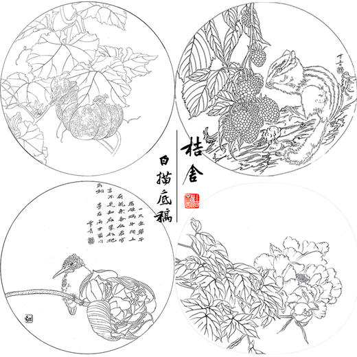 龚雪青工笔画白描底稿南瓜松鼠一套四幅初学者尺寸42*42厘米TG04 商品图1