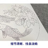 潘磊工笔画白描底稿鲤鱼牡丹一套四幅初学者尺寸42*42厘米TL02 商品缩略图4