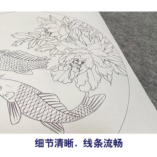 潘磊工笔画白描底稿鲤鱼牡丹一套四幅初学者尺寸42*42厘米TL02 商品图4