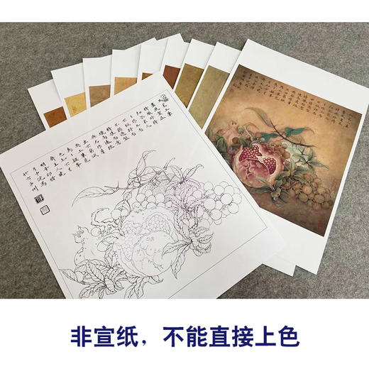 李晓明工笔花鸟画白描底稿翠鸟石榴斗方小品一套九幅册页初学者尺寸35×35厘米TW09 商品图3