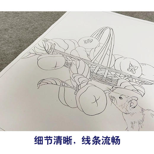 孙锡之工笔动物画白描底稿十二生肖小品一套十二幅册页初学尺寸42×42厘米SY00 商品图3