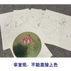 杨冬冬工笔画白描底稿荷花蝴蝶一套四幅初学者尺寸35*35厘米TY03 商品缩略图3