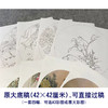 潘磊工笔画白描底稿菊花雀鸟一套四幅初学者尺寸42*42厘米TL05 商品缩略图2