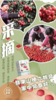 山楂六物膏 商品缩略图6