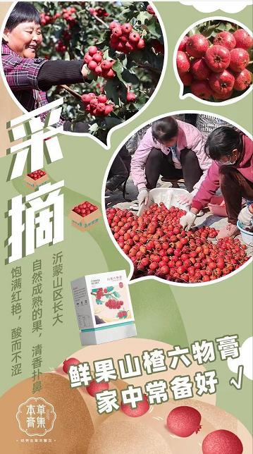 山楂六物膏 商品图6