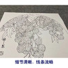 孙锡之工笔花鸟画白描底稿葡萄荔枝小品一套四幅册页初学者尺寸42×42厘米TA01 商品缩略图4
