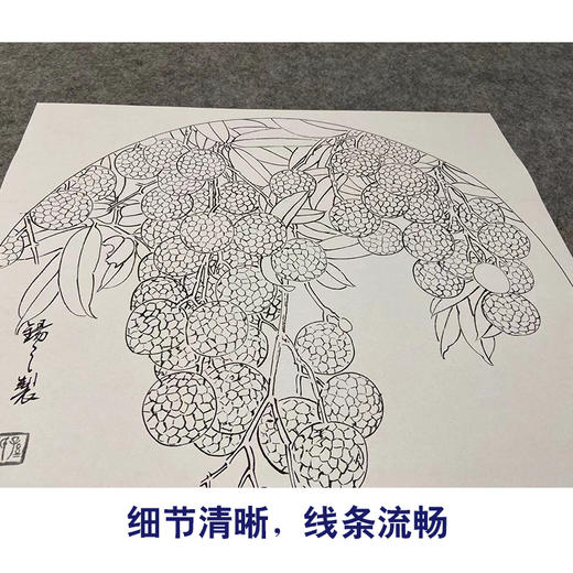 孙锡之工笔花鸟画白描底稿葡萄荔枝小品一套四幅册页初学者尺寸42×42厘米TA01 商品图4