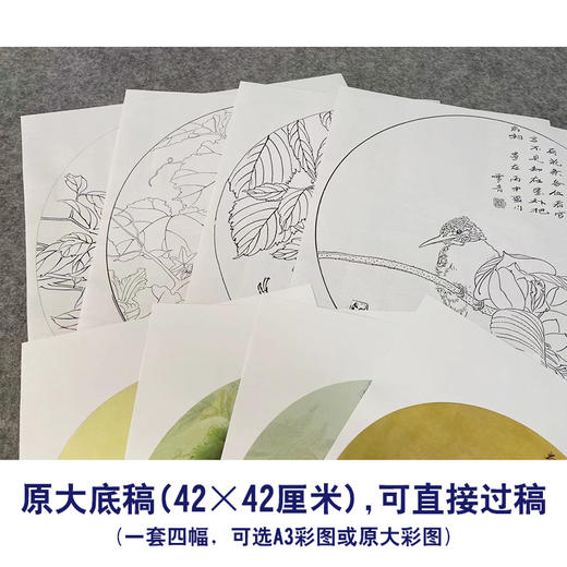 龚雪青工笔画白描底稿南瓜松鼠一套四幅初学者尺寸42*42厘米TG04 商品图2