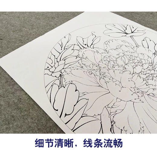李晓明工笔花鸟画白描底稿牡丹一套八幅册页尺寸35×35厘米花鸟线稿KF21 商品图4