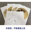 戴青池工笔画白描底稿荷花牡丹一套四幅初学者尺寸35×35厘米TD01 商品缩略图3