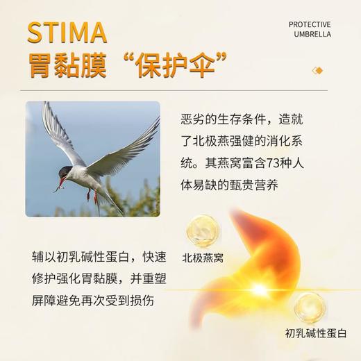 澳洲原装进囗，告别胃部“酸痛胀烧”，抵HP箘！胃肠舒畅，皮肤好口气清 商品图3