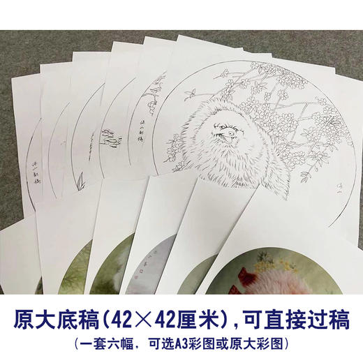 李保山工笔画白描底稿熊猫狗一套六幅初学者尺寸42×42厘米TB01 商品图2