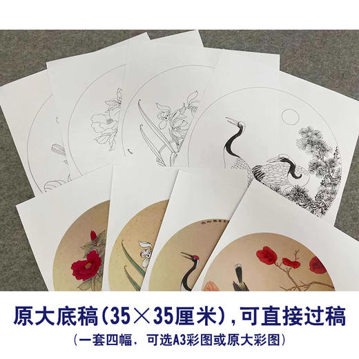 戴青池工笔画白描底稿松龄鹤一套四幅初学者尺寸35×35厘米TD02 商品图2