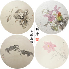 张莉莉工笔画白描底稿鹦鹉螃蟹一套四幅初学者尺寸35*35厘米-TZ03