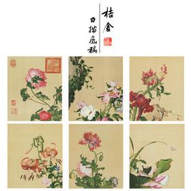 郎世宁工笔花鸟小品画白描底稿仙萼长春册一套十六幅册页尺寸35×42厘米LT00