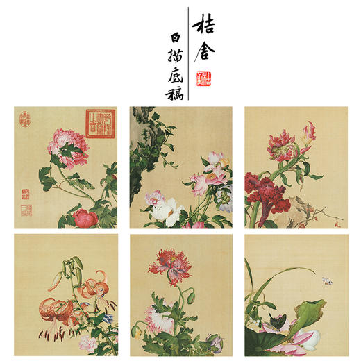 郎世宁工笔花鸟小品画白描底稿仙萼长春册一套十六幅册页尺寸3542厘米