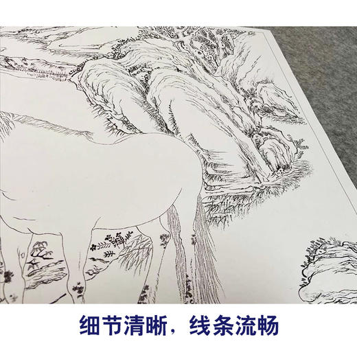 王致诚工笔动物画白描底稿十骏图小品一套十幅册页初学者尺寸42*50厘米ZC00 商品图4
