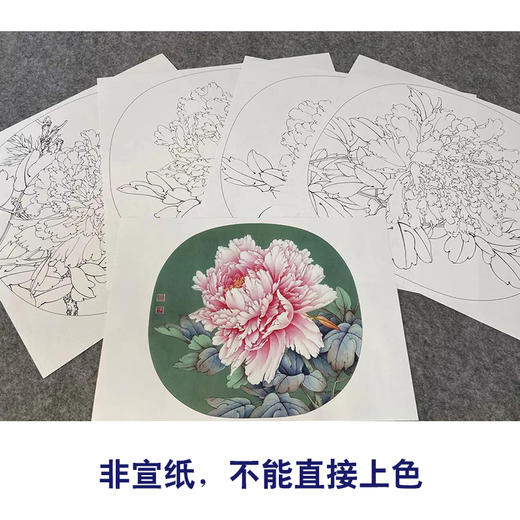 李晓明工笔花鸟画白描底稿牡丹小品团扇一套四幅册页初学者尺寸39*42厘米TW06 商品图2