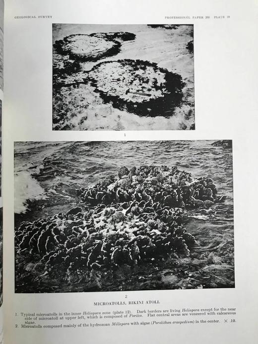 比基尼岛与附近环礁地质学 157幅插图（含多张展开图纸） 平装大16开带书匣 商品图8