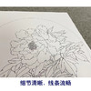 戴青池工笔画白描底稿牡丹翠鸟一套四幅初学者尺寸35*35厘米TD03 商品缩略图4