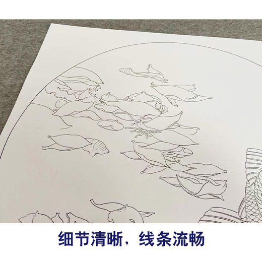 龚雪青工笔画白描底稿鲤鱼牡丹一套四幅初学者尺寸40×40厘米TG01 商品图3