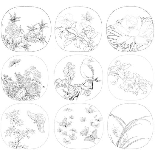 李晓明工笔花鸟画白描底稿蝴蝶荷花小品一套九幅册页初学者尺寸35×38厘米TW07 商品图1