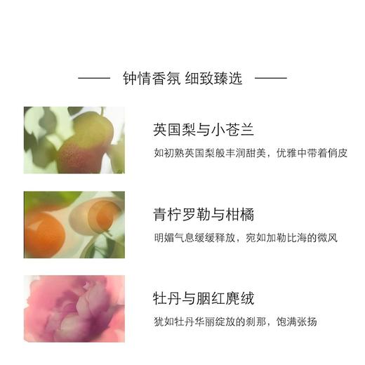 英国 JoMalone祖玛珑 呵宠滋润香氛护手霜 50g 商品图1