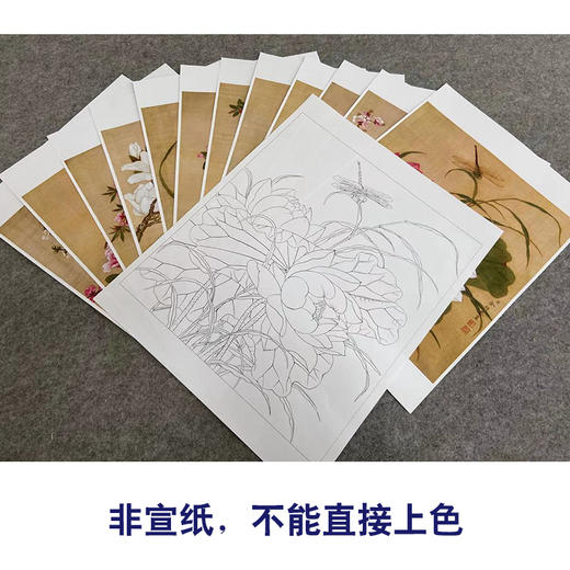 余稚工笔画白描底稿花鸟小品一套十二幅册页初学者尺寸33×37厘米YT00 商品图3