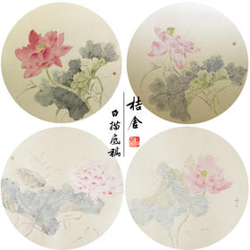 张莉莉工笔画白描底稿荷花一套四幅初学者尺寸35*35厘米TZ02