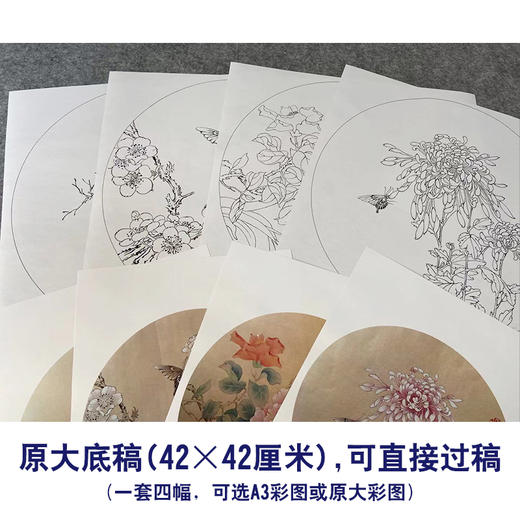 潘磊工笔画白描底稿蝴蝶雀鸟一套四幅初学者尺寸42*42厘米TL03 商品图2