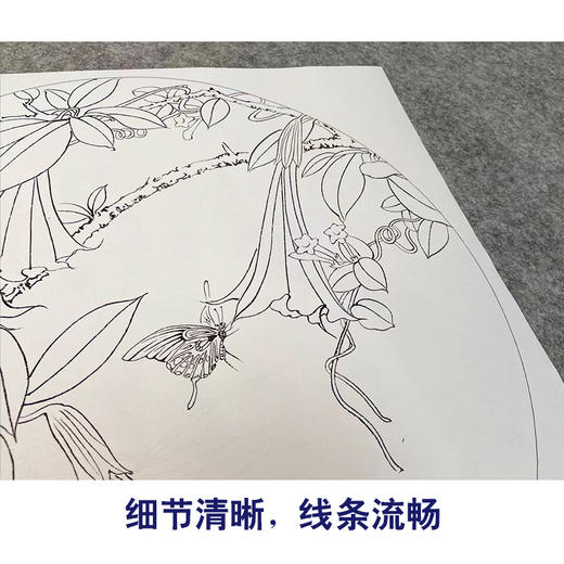 潘磊工笔画白描底稿荷花金鱼一套四幅初学者尺寸42*42厘米TL01 商品图4