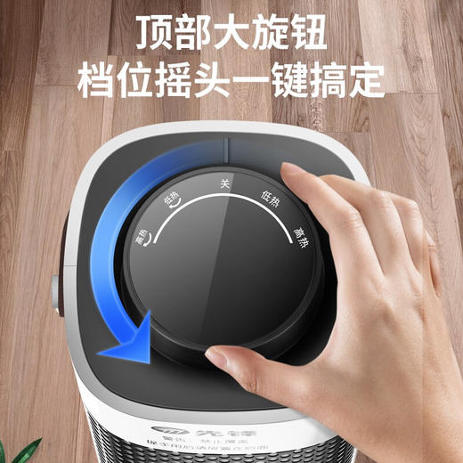 先锋(Singfun)暖风机取暖器电暖气电暖器电暖风电吹风吹风机热风机塔式广角摇头1秒速热DNF-N1 商品图3