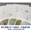杨冬冬工笔画白描底稿荷花蜻蜓一套四幅初学者尺寸35*45厘米TY07 商品缩略图2
