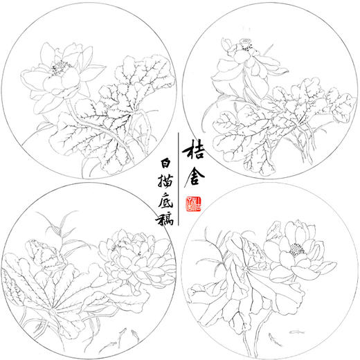 张莉莉工笔画白描底稿荷花一套四幅初学者尺寸35*35厘米TZ02 商品图1