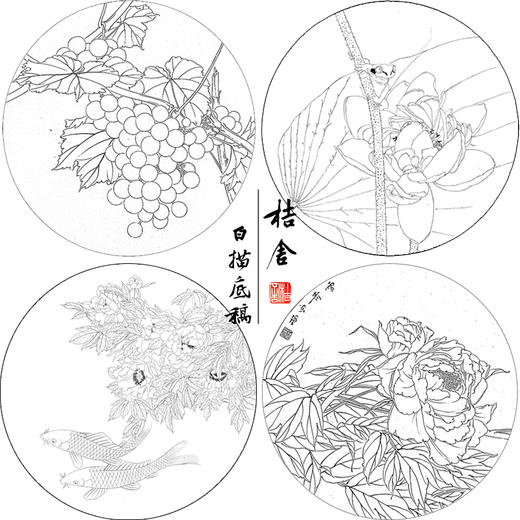 龚雪青工笔画白描底稿葡萄荷花一套四幅初学者尺寸42*42厘米TG02 商品图1