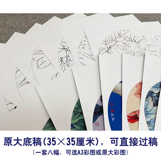李晓明工笔花鸟画白描底稿牡丹一套八幅册页尺寸35×35厘米花鸟线稿KF21 商品图3