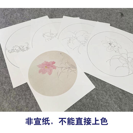 张莉莉工笔画白描底稿鹦鹉螃蟹一套四幅初学者尺寸35*35厘米-TZ03 商品图3