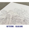 蒋廷锡工笔花鸟画白描底稿牡丹谱小品一套十幅册页初学者尺寸40*40厘米JT00 商品缩略图4