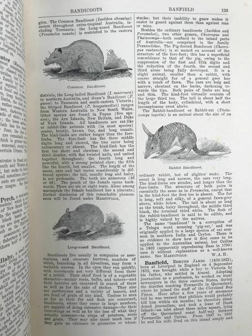 1925年 澳大利亚图解百科全书（全2卷） 数百幅插图 漆布精装16开 商品图9