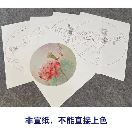 杨冬冬工笔画白描底稿荷花鲤鱼一套四幅初学者尺寸35*35厘米TY05 商品图2